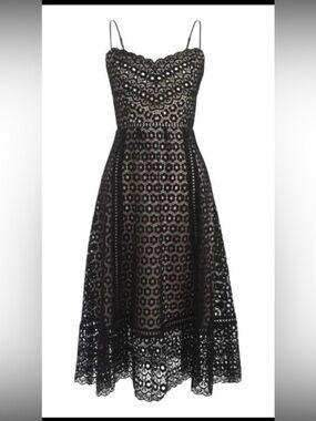 J. Crew Black Daisy Lace Fit-and-Flare Dress